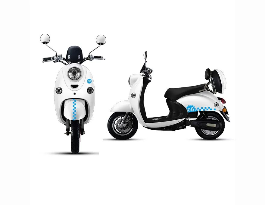 Milanese Turtle Electric Scooter and Electric Bicycle Battery-Powered