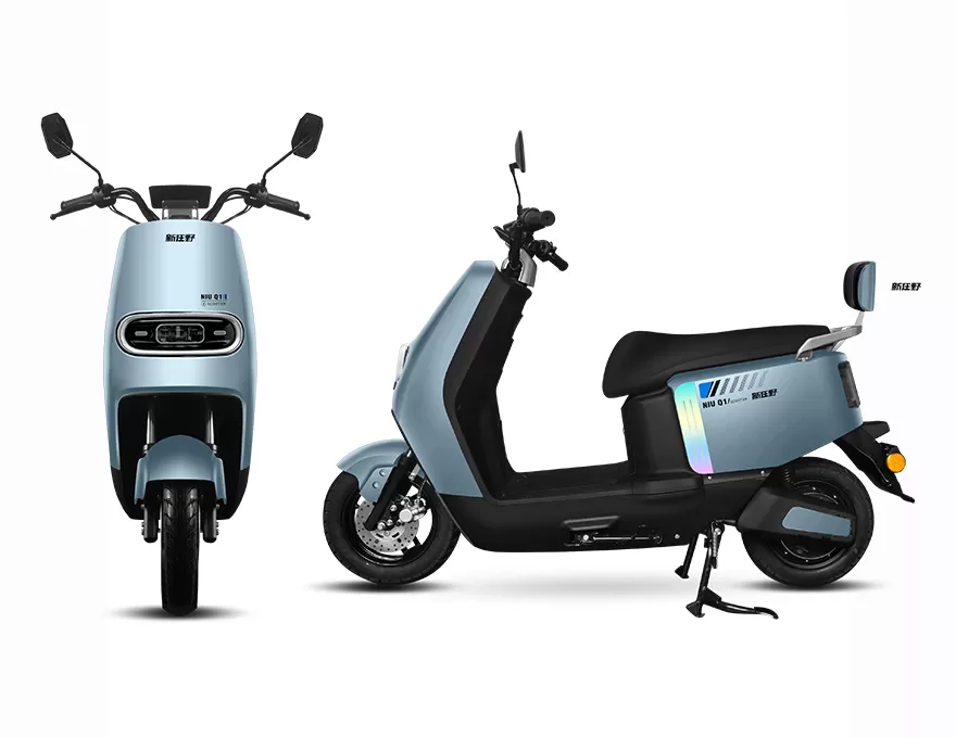 Milanese Turtle Electric Scooter and Electric Bicycle Battery-Powered