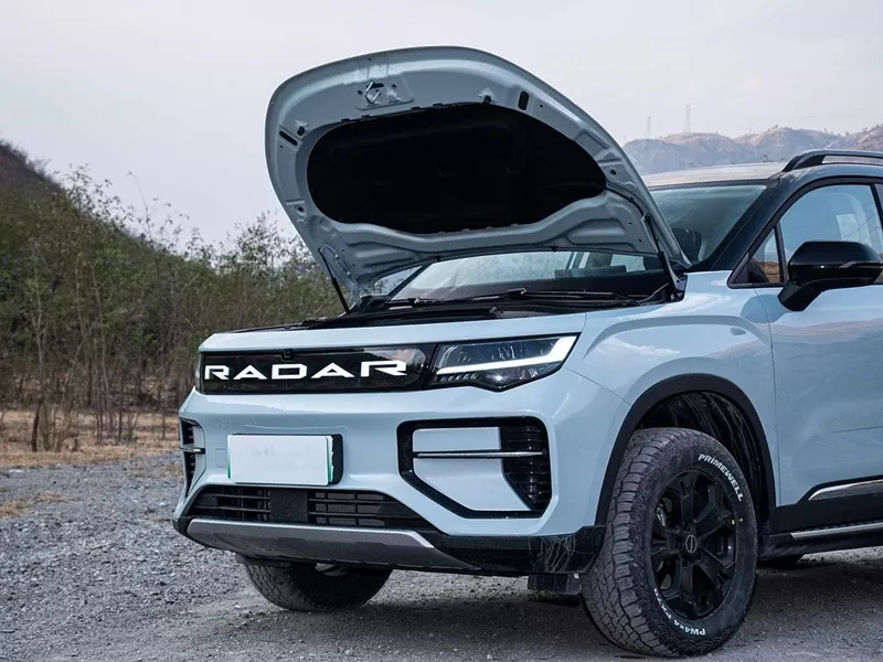Geely Radar Horizon Used Pickup Trucks China Pure Electric Pickup Trucks Exported from China