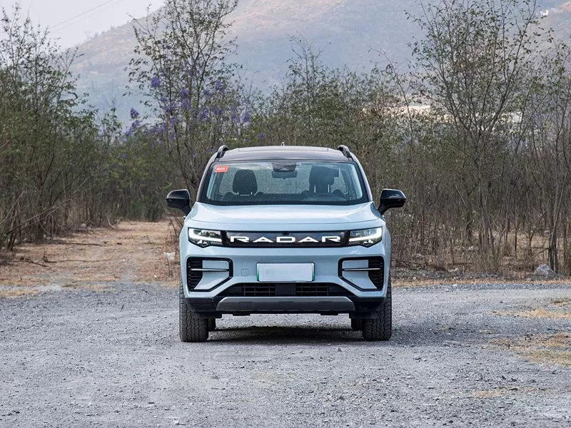 Geely Radar Horizon Used Pickup Trucks China Pure Electric Pickup Trucks Exported from China