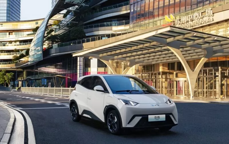 Byd larus
