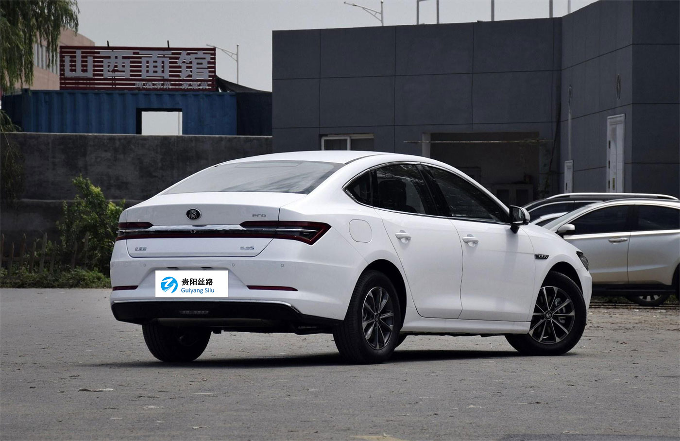 BYD Qin PRO 2019 DM-i new energy car